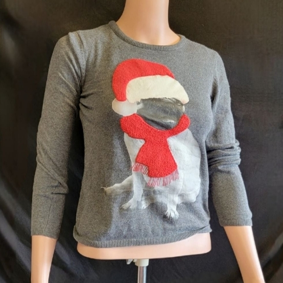 Pug sweater - Picture 1 of 4